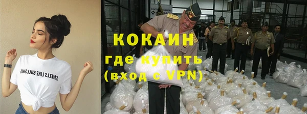 гидра Каменногорск