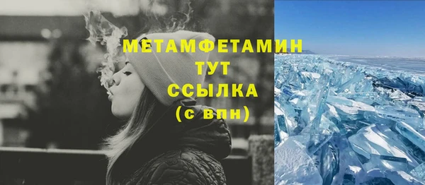 гидра Каменногорск