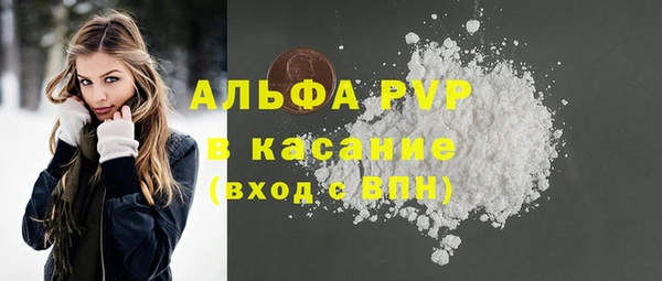 гидра Каменногорск