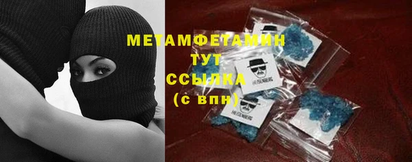 гидра Каменногорск