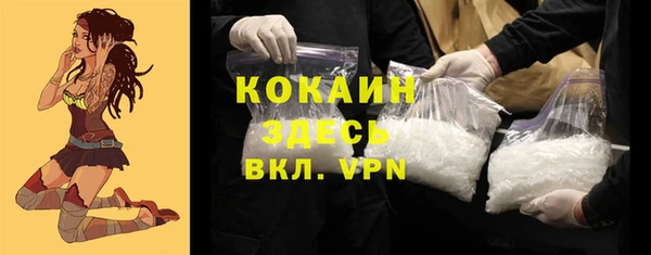 ГАЛЛЮЦИНОГЕННЫЕ ГРИБЫ Каменка