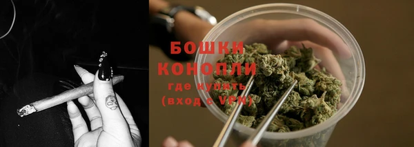 гидра Каменногорск