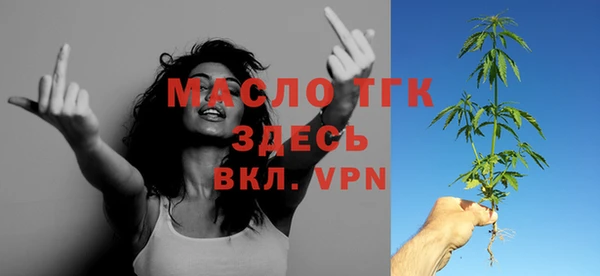 гидра Каменногорск