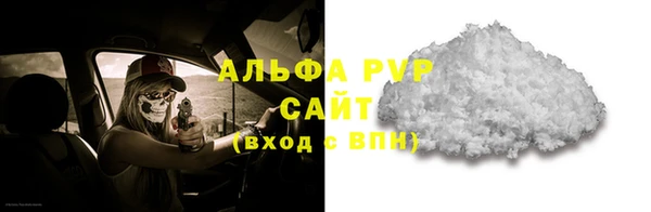гидра Каменногорск
