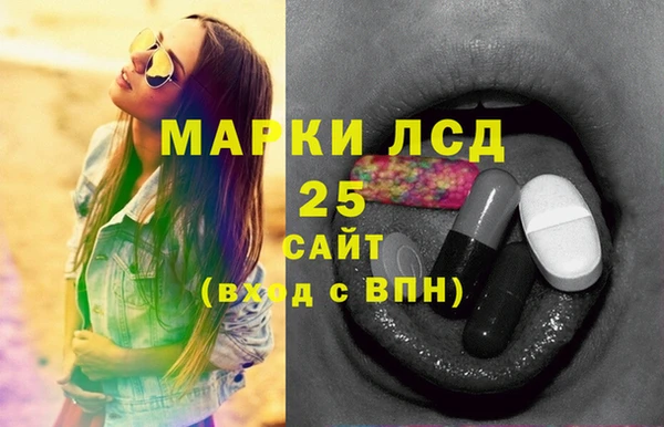 ГАЛЛЮЦИНОГЕННЫЕ ГРИБЫ Каменка