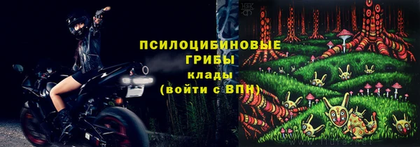 ГАЛЛЮЦИНОГЕННЫЕ ГРИБЫ Каменка