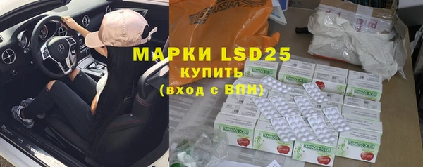 ГАЛЛЮЦИНОГЕННЫЕ ГРИБЫ Каменка