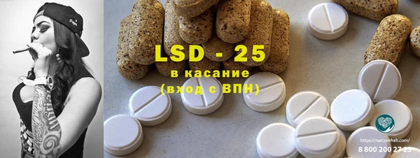 гидра Каменногорск