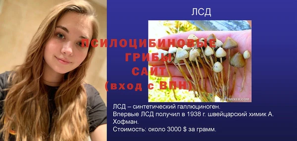 ГАЛЛЮЦИНОГЕННЫЕ ГРИБЫ Каменка