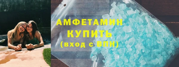 гидра Каменногорск