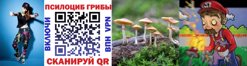 Псилоцибиновые грибы Cubensis  Купить закладки  Изобильный 